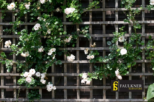 Can I put trellis on my Neighbours garage wall? 2 Do you want to adapt your neighbours garage door and add a trellis Camberley? Talk to Faulkner Surveyor Camberley
